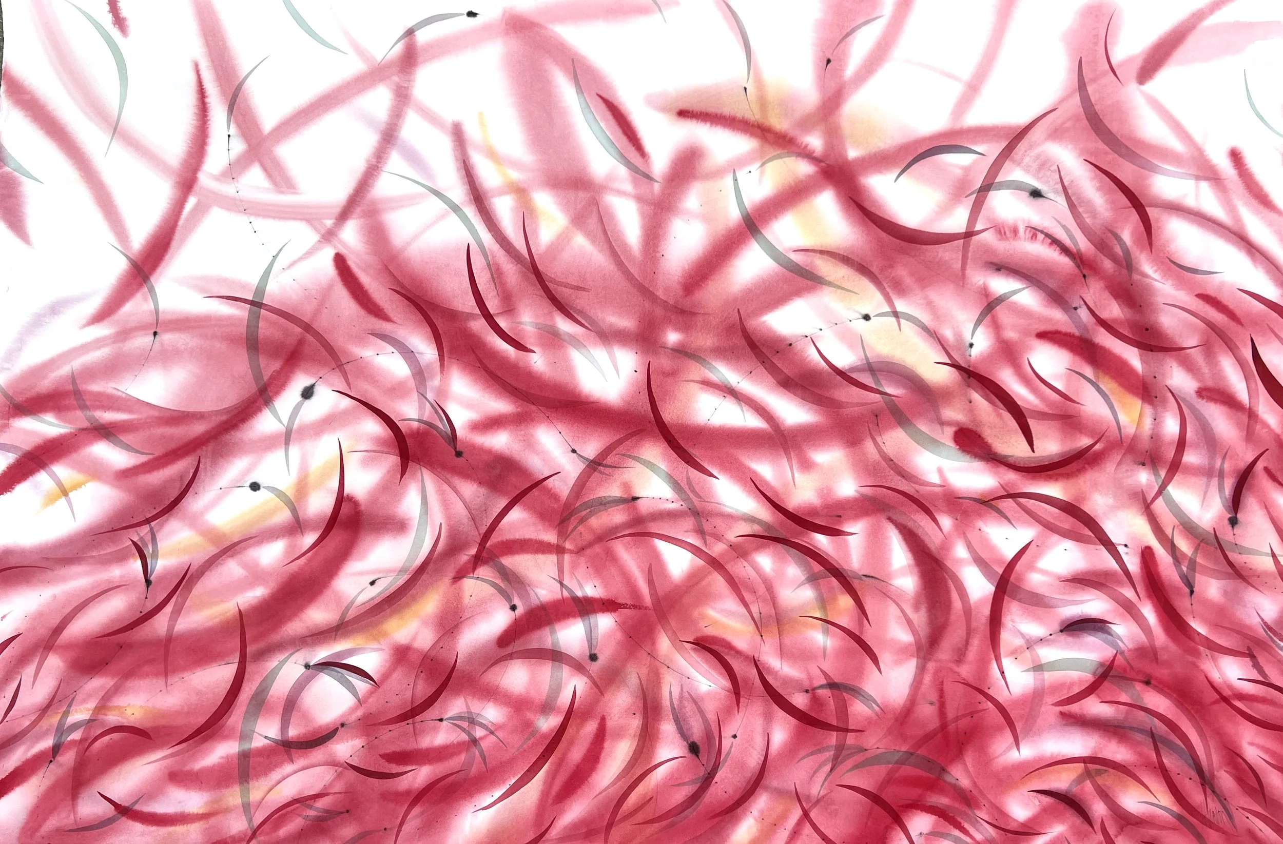 Jan Heaton Watercolors